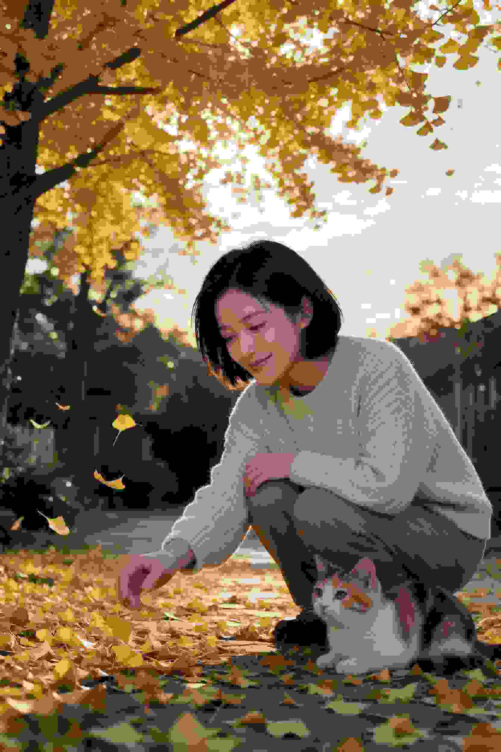 梦境编年史